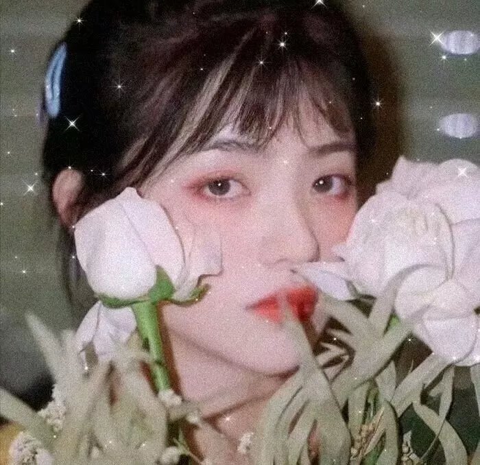 疯狂丑小鸭